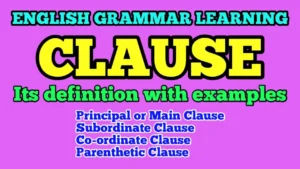 Clauses in English Grammar Examples Types Meaning Exercises
