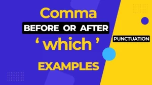 Commas before or after "Which" with examples in sentences