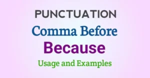 Comma Before "Because" Usages and Examples