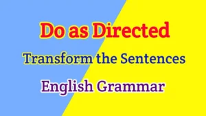 Transform-the-Sentences-as-Do-as-Directed_1