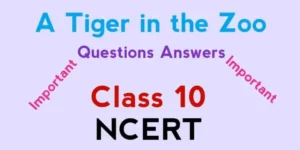 A Tiger in the Zoo Class 10 Questions Answers NCERT