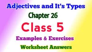 Adjective and its Types Class 5 English Grammar