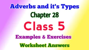 Adverbs and Comparison Class 5 English Grammar
