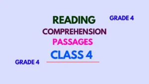 Class 4 CBSE English Comprehension Exercises Answers
