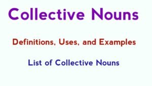 Collective Noun: Definition, Examples, and List