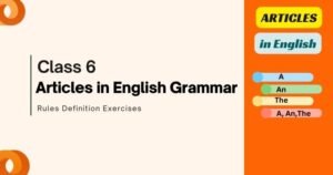 English Articles for Class 6 Rules Definition Exercises