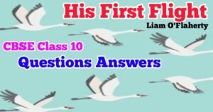 His First Flight Class 10 Questions and Answers with Summary