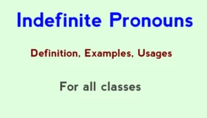 Indefinite Pronouns: Definition, Usage, Examples