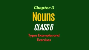 Nouns for Class 6: Types Examples and Exercises