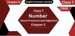 Number of Nouns Pronouns and Adjectives Class 7 Chapter 5