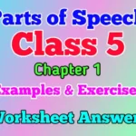 Parts of Speech for Class 5 with Examples and Worksheet