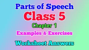 Parts of Speech for Class 5 with Examples and Worksheet