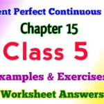 Present Perfect Tense Class 5 English Grammar