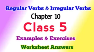 Regular Verbs Irregular Verbs List Class 5 English Grammar