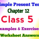 Simple Present Tense Class 5 English Grammar