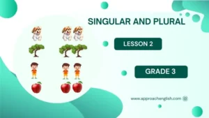 Singular and Plural Class 3 Worksheet with Answers: Lesson 2
