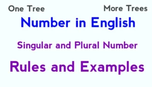 Singular and Plural Number Rules and Examples