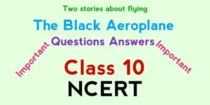 The Black Aeroplane Class 10 Question Answers 2025-26