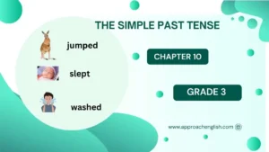 The Simple Past Tense Class 3 Worksheet and Answers