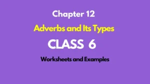 Types of Adverbs Class 6 in English Examples and Exercises