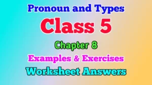 Types of Pronouns Class 5 English Grammar Worksheet