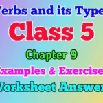 Types of Verbs Class 5 English Grammar worksheet