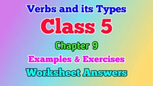 Types of Verbs Class 5 English Grammar worksheet