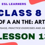 Use of A An the: Articles for class 8 with Worksheet