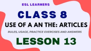 Use of A An the: Articles for class 8 with Worksheet