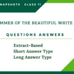The Summer of the Beautiful White Horse Questions Answers