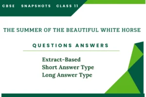 The Summer of the Beautiful White Horse Questions Answers