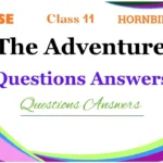 The Adventure Questions and Answers Class 11 NCERT